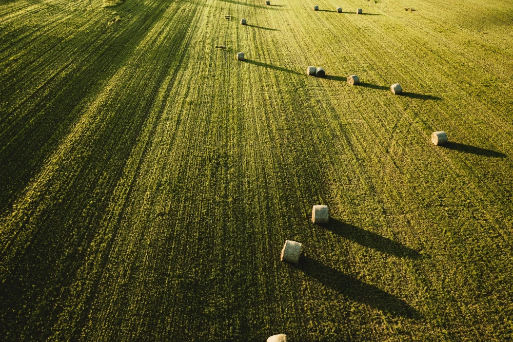 Gospodarstwo rolne o powierzchni ponad 120 hektarów